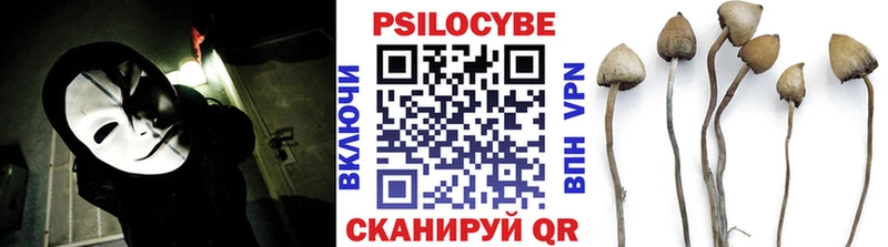 Галлюциногенные грибы мицелий  мега ссылка  Аша 